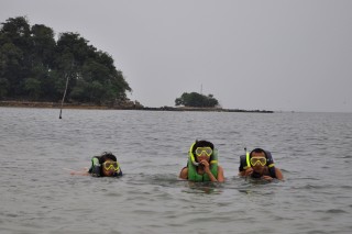 Snorkeling